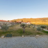Отель Holiday Home on Estate With Vineyards, Olive Groves and Swimming Pool, фото 18