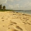 Отель Veue Beach Cabins, фото 9