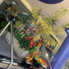 Отель Villa das Termas Hotel, фото 19