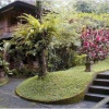 Отель Tiing Gading Bungalow, фото 4