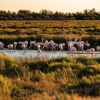 Отель Sous le Tilleul, фото 6