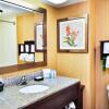Отель Hampton Inn Carrollton, фото 17