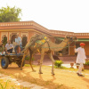 Отель Shahpura Gandharva Retreat Sariska, фото 28