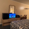 Отель Silver Spur Motel, фото 4