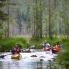 Отель Finnskogen Turist & Villmarksenter, фото 19