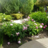 Гостиница Liki Solntsa Guest House, фото 2