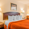Отель Quality Inn Pell City I-20 exit 158, фото 5