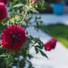 Отель See you for the first time, фото 12