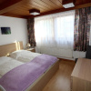 Отель Apartment Steiner, фото 1