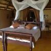 Отель Island Camp Baringo, фото 4
