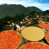Отель Wuyuan Huangling Villa, фото 7
