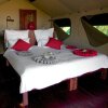 Отель Nkasa Lupala Tented Lodge, фото 16