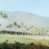 Отель CHU Resort Hualien, фото 26
