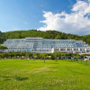 Отель Mimosa-Lido Palace, фото 35