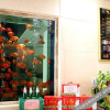 Отель Tianlong Hotel, фото 1