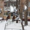Хостел Лен Инн Люкс Хостел Лен Инн Люкс в Москве