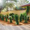 Отель Blomsbed Inn в Палапье