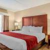 Отель Comfort Inn & Suites, фото 5