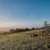 Отель 99 Acres Bangalow Retreat, фото 22