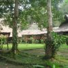 Отель Amazonas Sinchicuy Lodge, фото 13