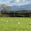 Отель Beautiful, Private Farm Cottage in Anglesey, фото 16
