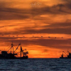 Отель Malibu Guaymas, фото 7