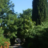 Отель B&B Martin, фото 7