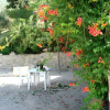 Отель Tenuta Le Sodole - Papavero Holiday Home, фото 11