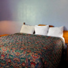 Отель Homestead Motel, фото 5