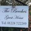 Отель Beeches Guest House, фото 1