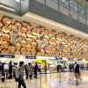 Отель Aerocity Golden, фото 1