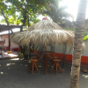 Отель Beach Hostal Oasis, фото 4