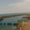 Отель Yanbu Arac Resort - Families Only, фото 13