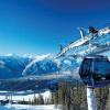 Отель The Pines Bed & Breakfast, фото 12