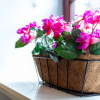 Отель Elliot Suite No3 - Donnini Apartments, фото 9
