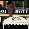Отель Golfhotel, фото 1