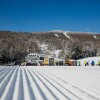 Отель Mountain Lodge At Okemo-1br Newly Renovated 1 Bedroom Condo by RedAwning, фото 10