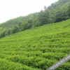 Отель Longyingxuan Hotel, фото 10