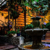 Отель The Garden of Blues Hostel, фото 24