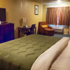 Отель Quality Inn Airport, фото 28