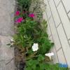 Отель Tiantai Fragrance Homestay, фото 12