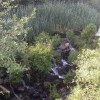 Отель House With 2 Bedrooms in São Pedro do Sul, With Wonderful Mountain Vie, фото 20