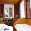 Отель Alpenhotel, фото 19