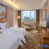 Отель Vienna International Hotel (Dongguan Mayong Central Avenue), фото 6