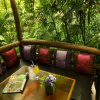 Отель Rain Forest Resort, фото 1
