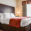 Отель Comfort Suites Huntsville MidCity District at Research Park, фото 5