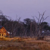 Отель The Hide Safari Camp, фото 13