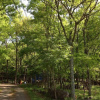 Отель Cottage Itsubi no Sato, фото 43