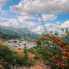 Отель finca Almejí, фото 19