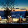 Отель Hotell Fjällgården Ski-In Ski-Out, фото 16